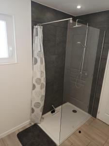 eine Dusche mit Glastür und Duschvorhang in der Unterkunft Chez Elise et Margot in Saint-Cosme-en-Vairais