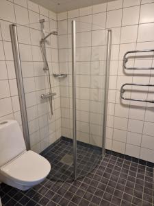 a bathroom with a toilet and a shower stall at ArcticStay Economy in Pajala +2 photos