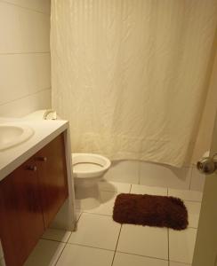 a bathroom with a toilet and a sink and a shower at Deptos altura 562 in Santiago