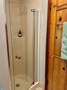 a shower with a glass door in a bathroom at Free Parking - Prime Location - Downtown in Columbus +22 photos