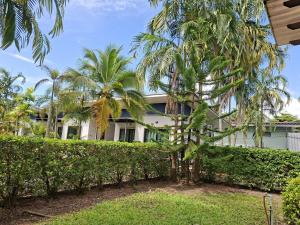 a palm tree in front of a building at Little Blue House- AoNang in Ao Nang 