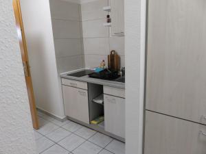 a small kitchen with a sink and a counter at Wohnung am Tor zur Lewitz-Erdgeschoss in Banzkow +3 photos