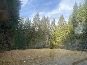 a large field in the middle of a forest at Útulná maringotka v srdci Šumavy in Borová Lada