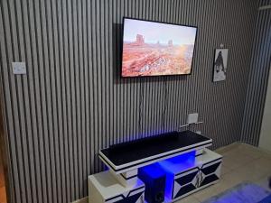 TV a/nebo společenská místnost v ubytování LnC bnb