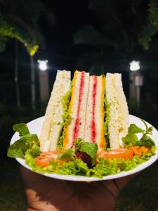 Afbeelding uit fotogalerij van Knuckles View Hotel in Palapatwela