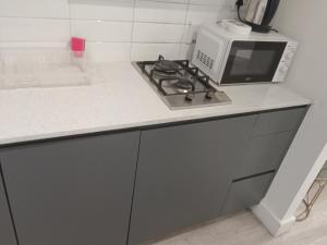 a kitchen with a stove and a microwave on a counter at 1 on albert Luxury apartment in Cape Town