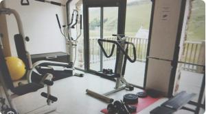 een kamer met een fitnessruimte met gewichten en een simulator bij Hourquette in Bagnères-de-Bigorre