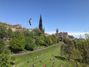 Naturlandskabet i nærheden af lejligheden