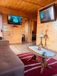 a living room with a couch and a table and a tv at Cabaña Ñiucho Dalcahue in Dalcahue