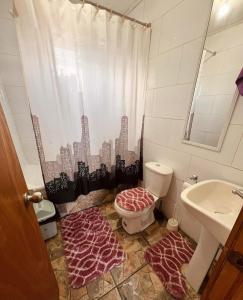 a bathroom with a toilet and a sink at Cabaña Ñiucho Dalcahue in Dalcahue