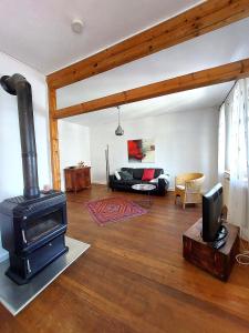 un salon avec une cheminée et un canapé dans l'établissement Gemütliche Künstlerwohnung mit großer Dachterrasse, à Weinheim