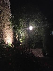 a street light in a garden at night at Ferienhaus Alte Scheune in Pommern