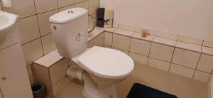 a bathroom with a white toilet and a sink at Ubytovanie Málika in Čierny Blh +27 photos