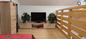 TV a/nebo společenská místnost v ubytování Ubytovanie Málika