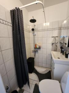 a small bathroom with a toilet and a sink at Nice home with free parking close to downtown and nature! in Copenhagen