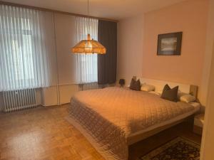 a bedroom with a large bed in a room at Olga Apartment in Traben-Trarbach