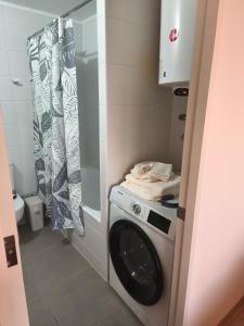 a washing machine in a bathroom with a shower at Departamento amoblado in San Pedro de la Paz