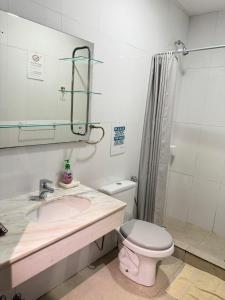 Un baño con lavabo, inodoro y ducha. en Terra Iguazú Suites, en Puerto Iguazú