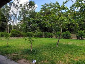 Barra do BugresRancho do tucano的相册照片