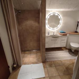 a bathroom with a shower and a sink at Emily's Garden in Lintrup