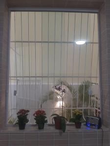 Billede fra billedgalleriet på Estação Primavera prox Pelourinho, Metrô e Arena F Nova i Salvador