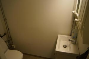 キルナにあるLaplanders roomsの白いトイレと洗面台のあるバスルーム