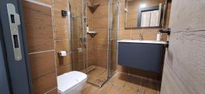a bathroom with a shower and a toilet and a sink at Sremsky inn in Stara Pazova +52 photos
