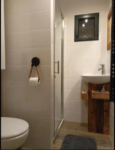 a bathroom with a shower and a toilet and a sink at Du poil à la plume in Saint-Mards-en-Othe