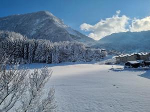 Příroda nedaleko apartmánu + 21 fotografií