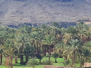 Příroda nedaleko ubytování v soukromí