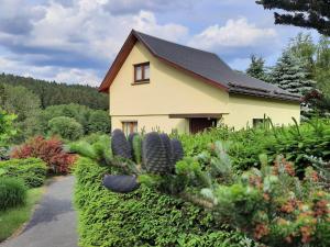 a house with a lot of plants in front of it at Edith in Schwarzenbrunn