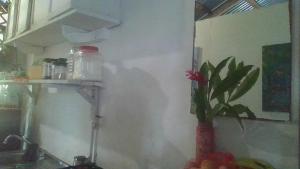 Η κουζίνα ή μικρή κουζίνα στο SeaSide B&B