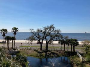 Blick auf den Strand mit einem Baum und einem Teich in der Unterkunft Quiet Beachview End Unit in Legacy Tower 2 -309 - 3 bedroom 3 bath condo in De Buys