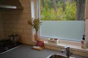 a kitchen sink with a window above a kitchen counter at Tiny cabin in bosrijke omgeving de Veluwe - met terras, tuin en fietsschuurtje in Nunspeet +36 photos