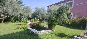a garden with a pond in the middle of a yard at Mi Rincón in Zaragoza