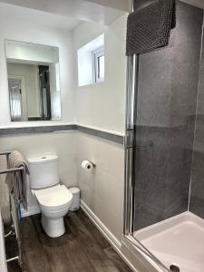 a bathroom with a toilet and a shower at Ivy Cottage in Swansea +40 photos