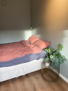 a bed in a bedroom with two plants on it at Apartment Aker brygge- Oslo sentrum in Oslo