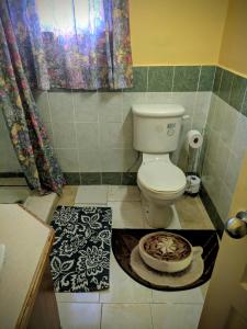 - une salle de bains avec des toilettes et une pizza à l'étage dans l'établissement BTC Apartments, à Saint-Georges