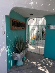 a door to a building with a potted plant at Nómadas Hostel in La Paz