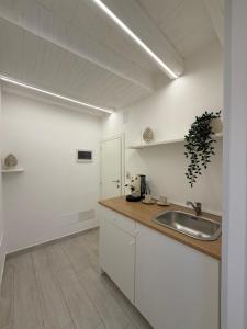 a kitchen with a sink and a counter top at Seraphia Apartment in Palermo +19 photos