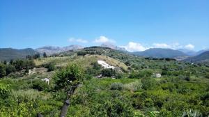 Foto dalla galleria di Casa Vacanze S.Andrea a Lascari