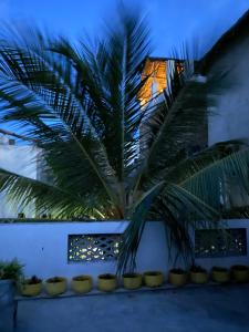 a palm tree in front of a building at night at Amani Guest House Lamu in Lamu +16 photos