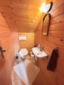 ein Badezimmer mit Toilette und Waschbecken in der Unterkunft Sonnenplatz Appartment Ploninger LANDHAUS in Bad Kleinkirchheim + 18 Fotos