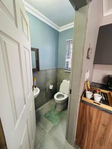 a bathroom with a toilet and a sink at Hope Villa Luxury Accomodation in Odendaalsrus