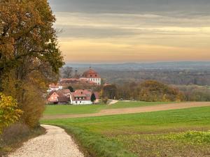 a dirt road leading to a house in a field at Holzliebe mit Donaublick in Kaisheim
