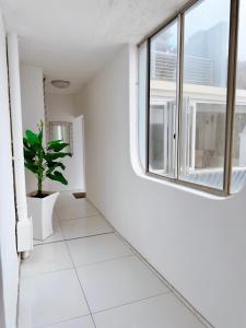 Φωτογραφία από το άλμπουμ του Oceana Marginella σε Umdloti