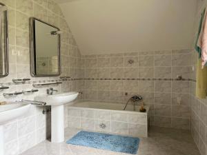 a bathroom with a sink and a bath tub at Pr Fajfarju in Spodnja Sorica +7 photos