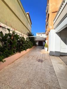 an empty alley between two buildings with plants at Filfila skikda in Rebaïb