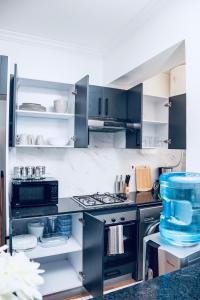 a kitchen with black cabinets and a stove at Apartment One bedroom Nairobi in Nairobi