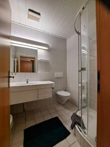 een badkamer met douche, wastafel en toilet bij Boardinghouse-SWB in Villingen-Schwenningen